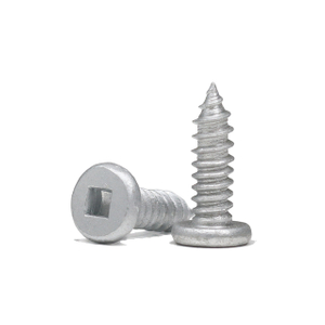 Square Socket Double Thread Tapping Screw