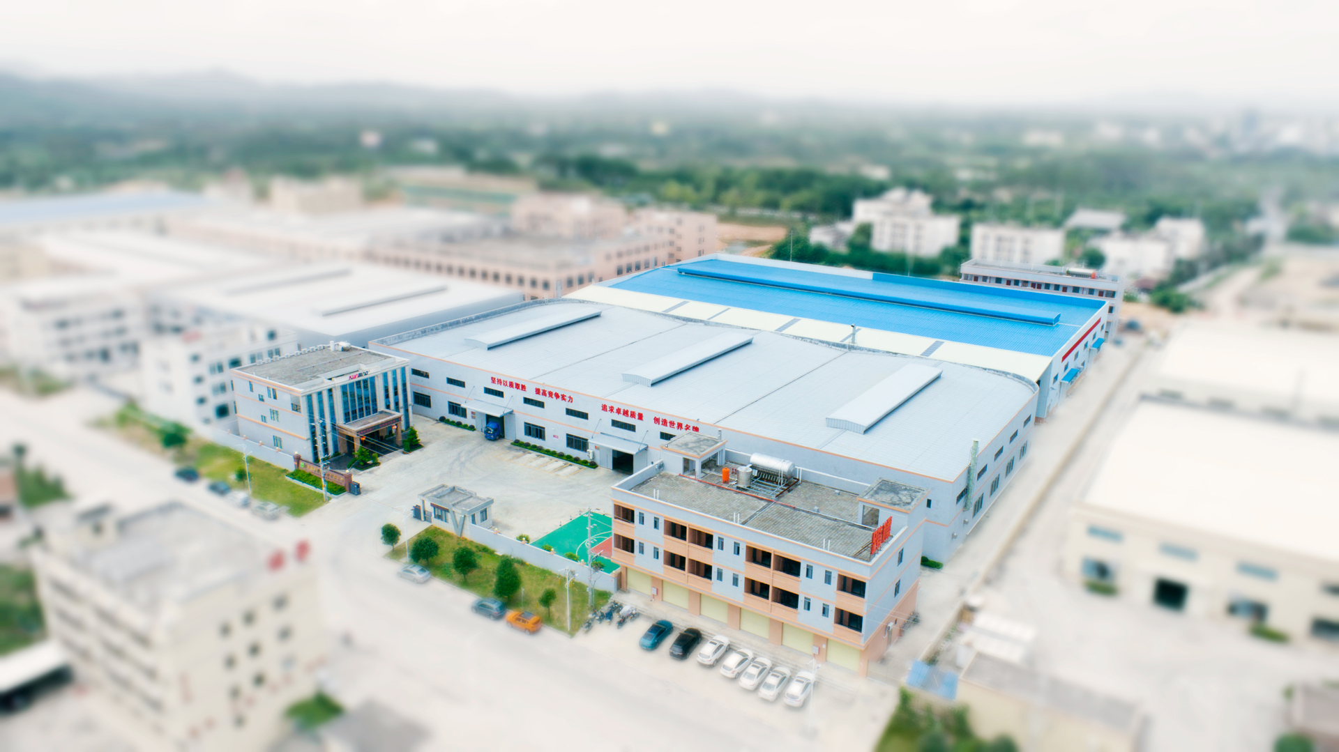 Company View